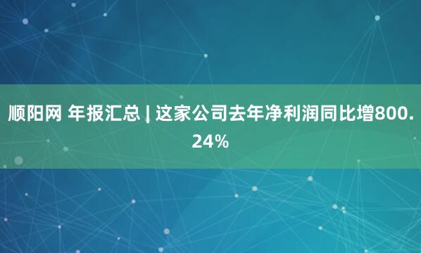 顺阳网 年报汇总 | 这家公司去年净利润同比增800.24%