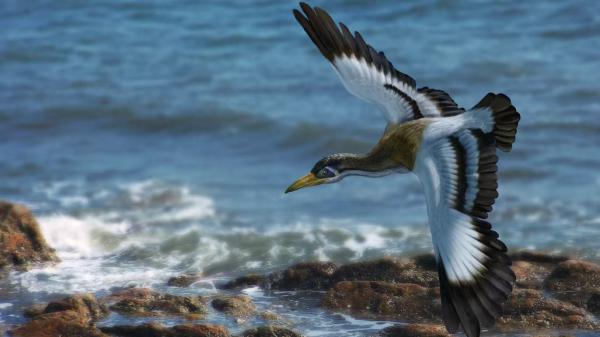 盈胜优配 中国小恐龙，大战侵权者
