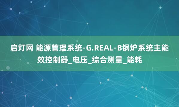 启灯网 能源管理系统-G.REAL-B锅炉系统主能效控制器_电压_综合测量_能耗