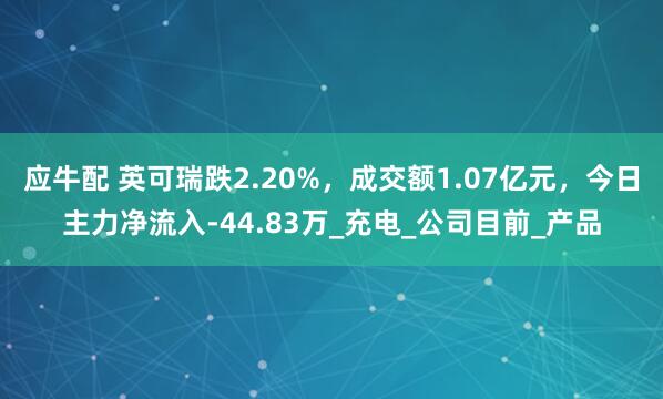 应牛配 英可瑞跌2.20%，成交额1.07亿元，今日主力净流入-44.83万_充电_公司目前_产品