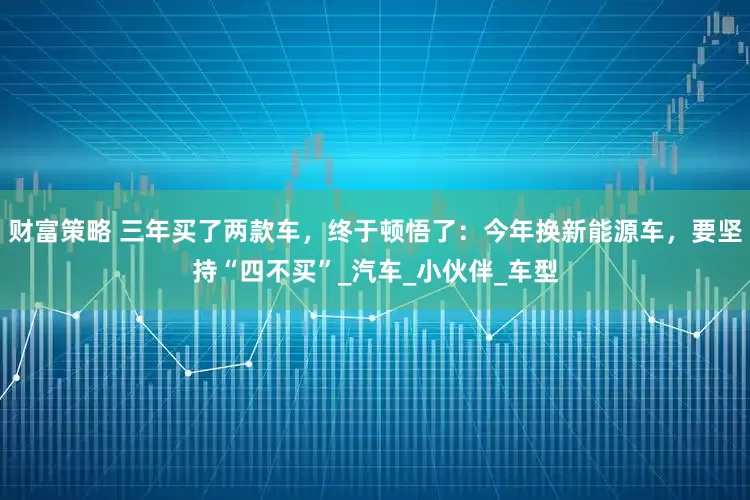 财富策略 三年买了两款车，终于顿悟了：今年换新能源车，要坚持“四不买”_汽车_小伙伴_车型