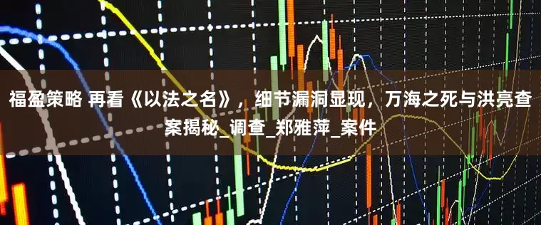 福盈策略 再看《以法之名》，细节漏洞显现，万海之死与洪亮查案揭秘_调查_郑雅萍_案件