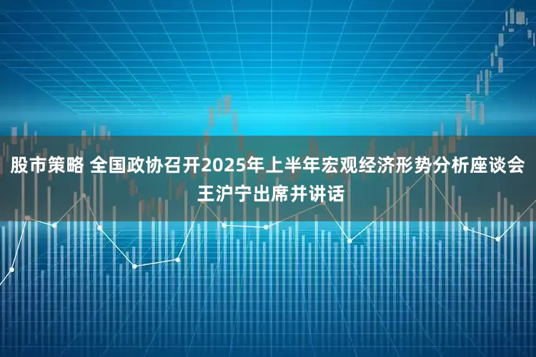 股市策略 全国政协召开2025年上半年宏观经济形势分析座谈会 王沪宁出席并讲话